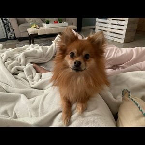 Meet your Posher, Alec